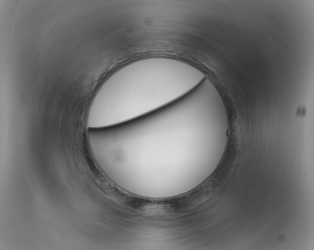 X0000114020499200910021019