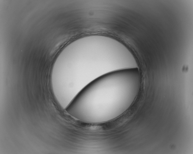 X0000114020501200910021019