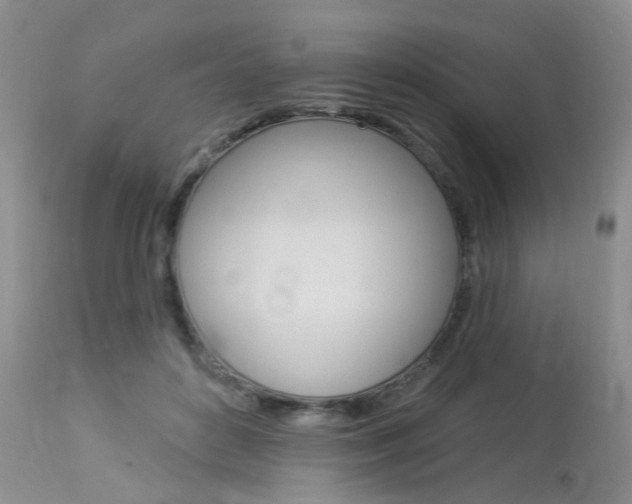 X0000114020504200910021019