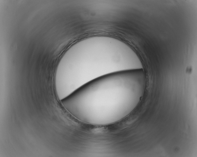 X0000114020505200910021019