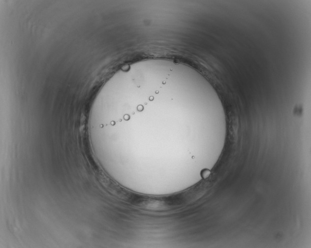 X0000114020507200910021019