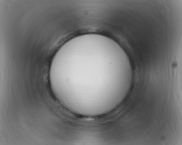 X0000114020509200910021019