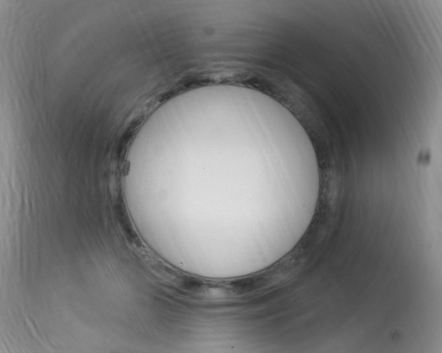 X0000114020510200910021019