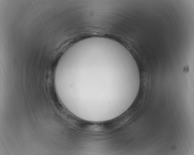 X0000114020511200910021019