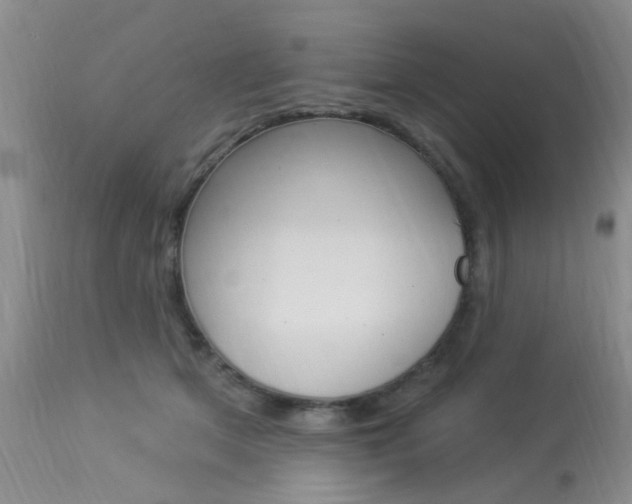 X0000114020513200910021019