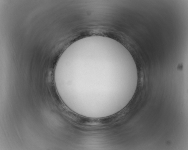 X0000114020514200910021019