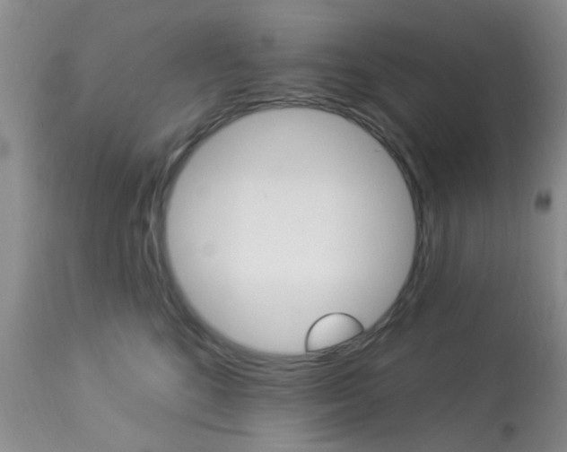 X0000114020520200910021019