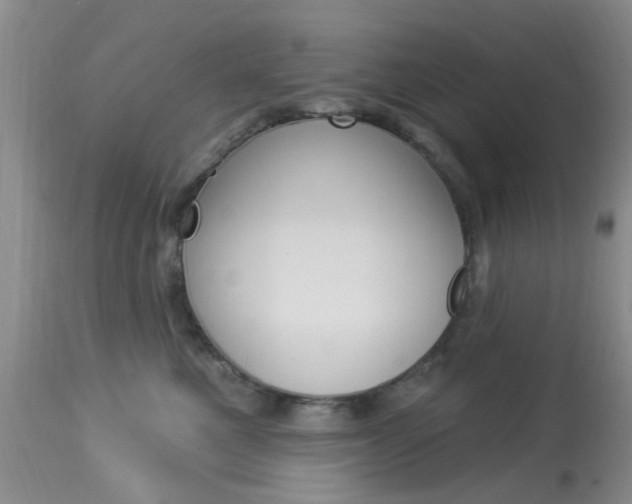 X0000114020521200910021019