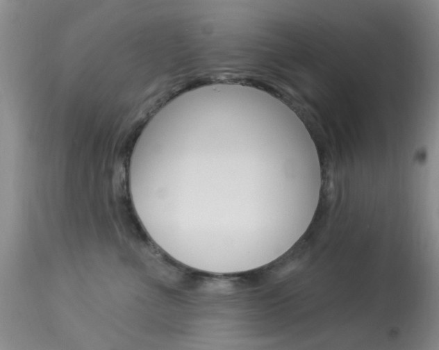 X0000114020523200910021019