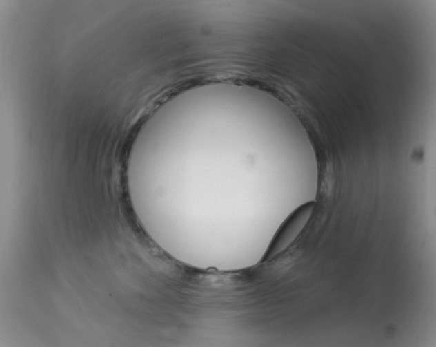X0000114020524200910021019