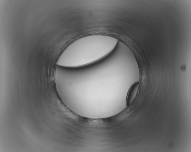 X0000114020525200910021019