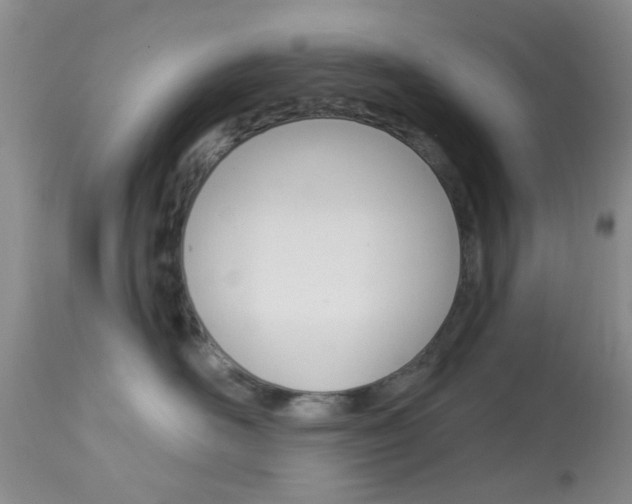 X0000114020526200910021019