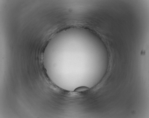X0000114020528200910021019