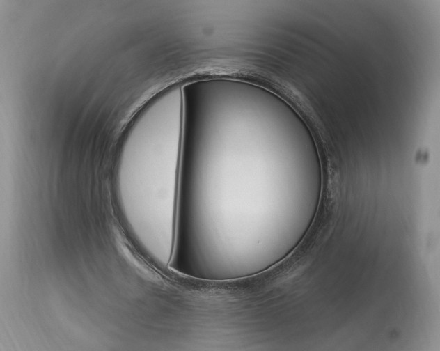 X0000114020530200910021018