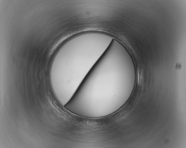 X0000114020531200910021018