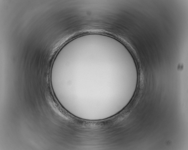 X0000114020533200910021018