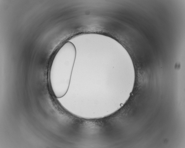X0000114020534200910021018