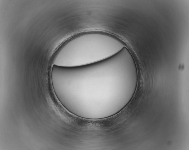 X0000114020535200910021018