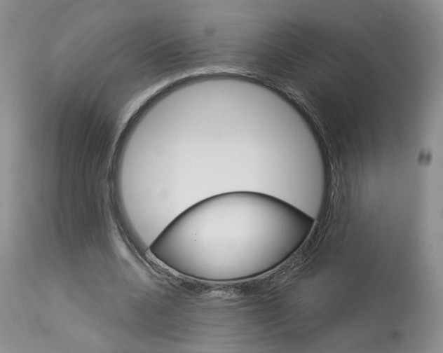 X0000114020536200910021018