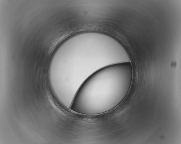 X0000114020538200910021018