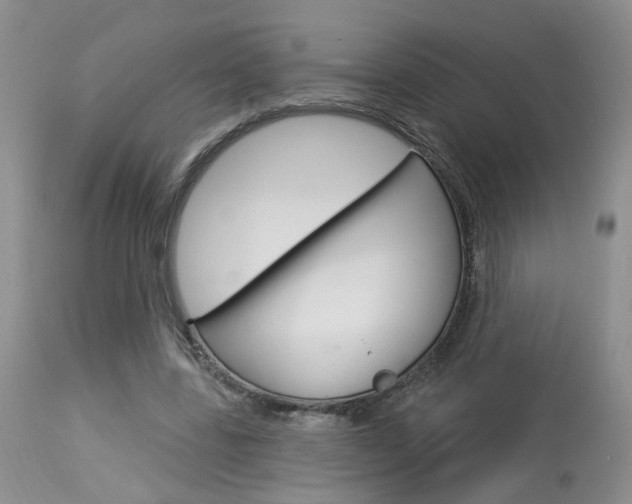 X0000114020539200910021018