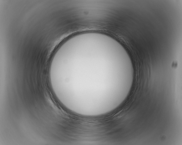 X0000114020540200910021018