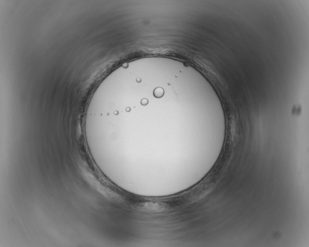 X0000114020541200910021018