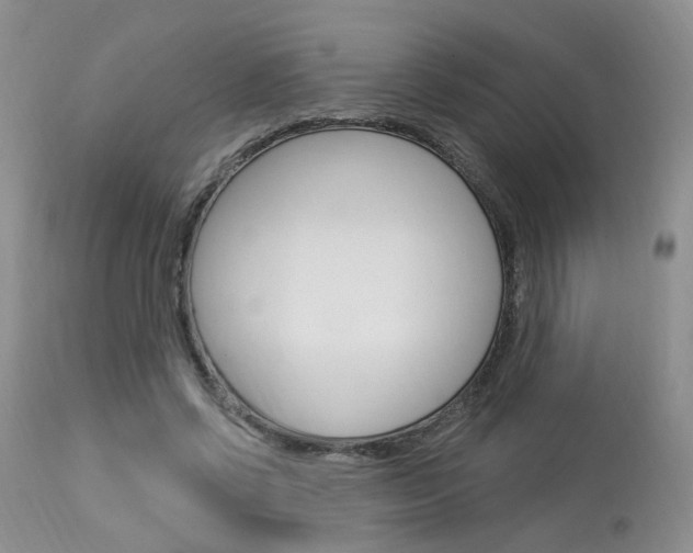 X0000114020542200910021018