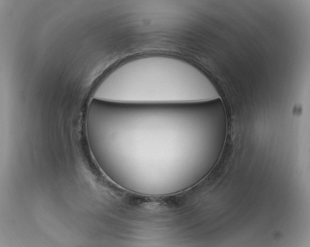 X0000114020544200910021018