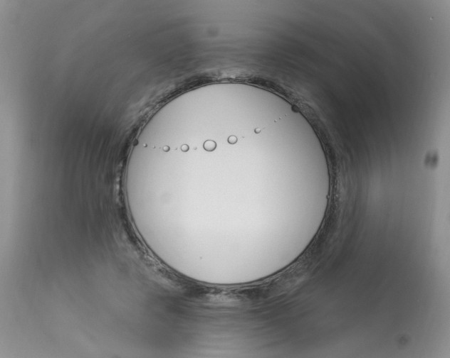 X0000114020545200910021018