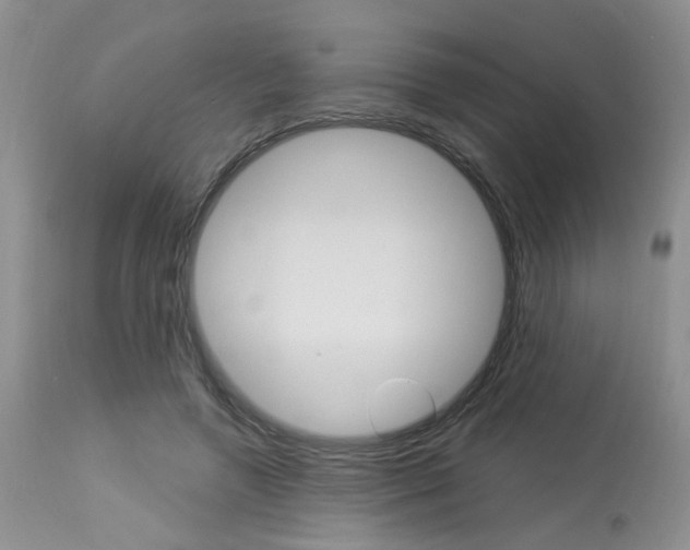 X0000114020546200910021018
