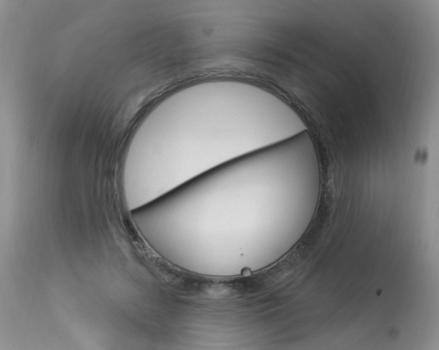 X0000114020547200910021018