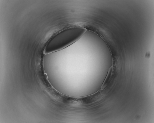 X0000114020548200910021018