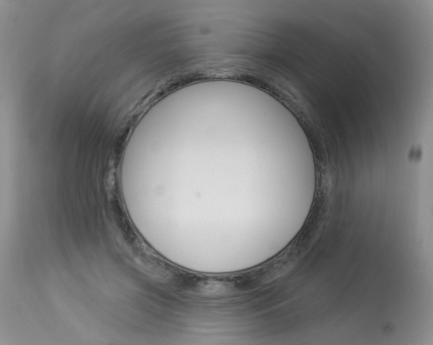 X0000114020549200910021018