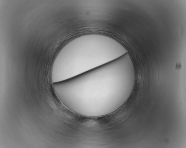 X0000114020551200910021019