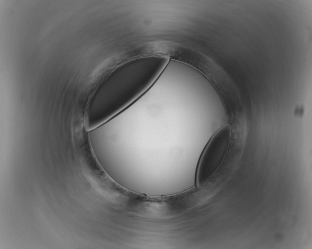 X0000114020552200910021019