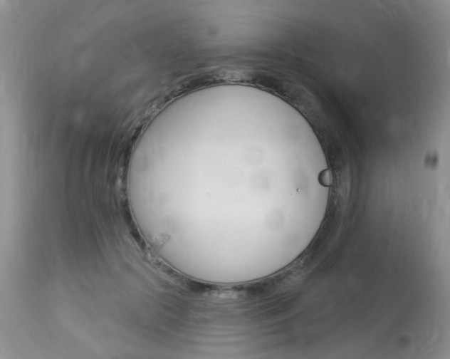 X0000114020553200910021019