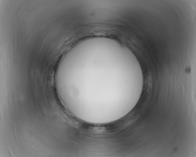 X0000114020554200910021019