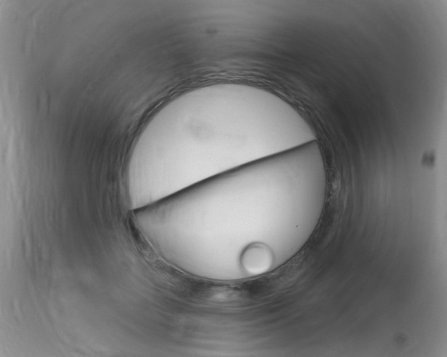 X0000114020555200910021019