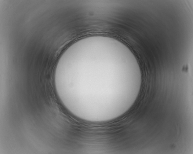 X0000114020556200910021019