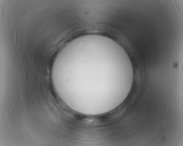 X0000114020557200910021019