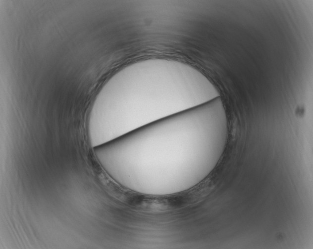 X0000114020559200910021019