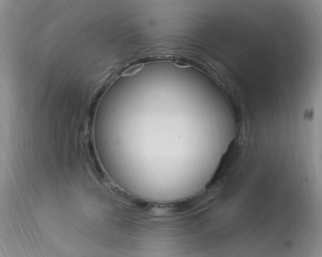 X0000114020560200910021019
