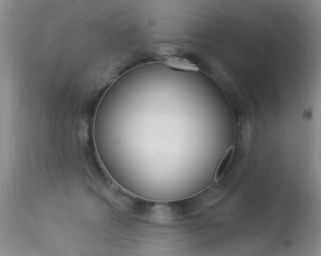 X0000114020562200910021019