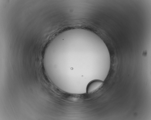 X0000114020563200910021019