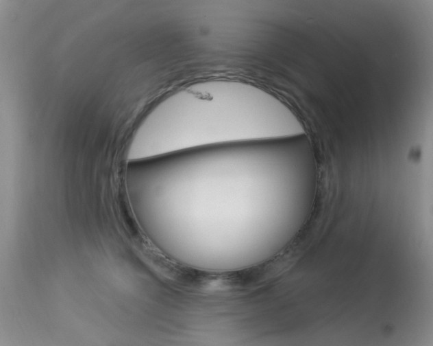 X0000114020564200910021019
