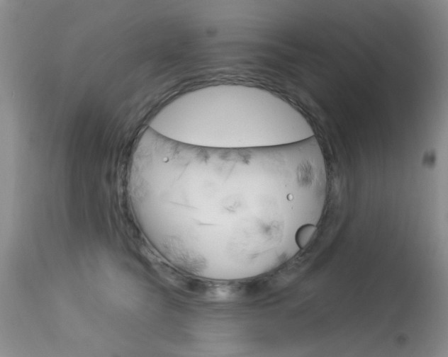 X0000114020565200910021019
