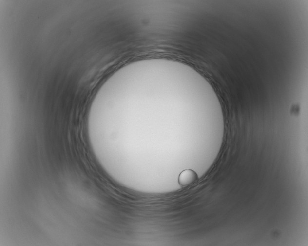 X0000114020566200910021019