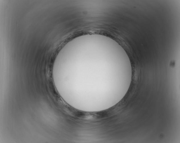 X0000114020569200910021019