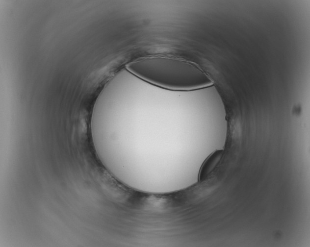 X0000114020570200910021019
